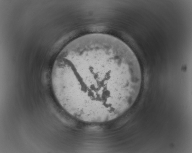 X0000115850161200912242045