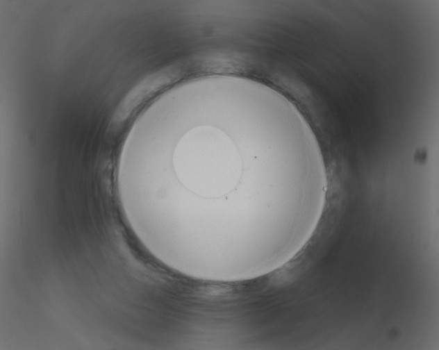 X0000115850162200912242045