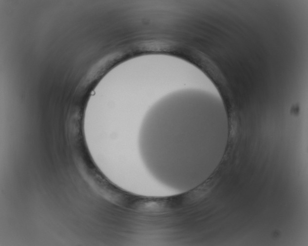 X0000115850163200912242045