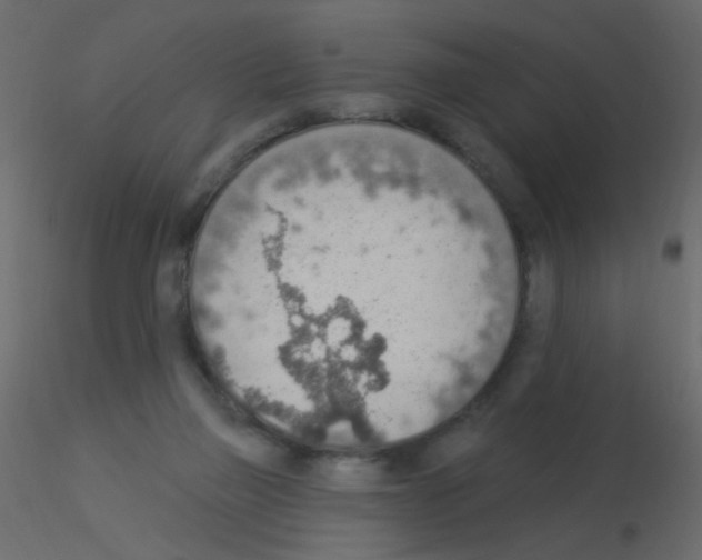 X0000115850165200912242045
