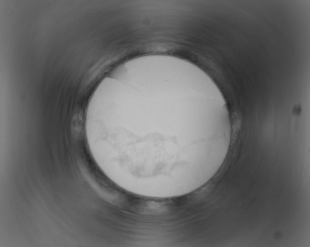 X0000115850166200912242045