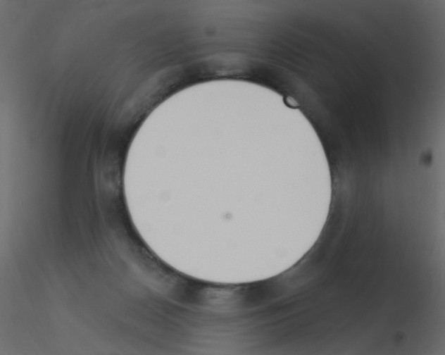 X0000115850170200912242045