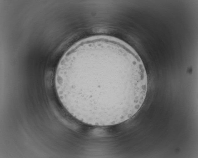 X0000115850171200912242045