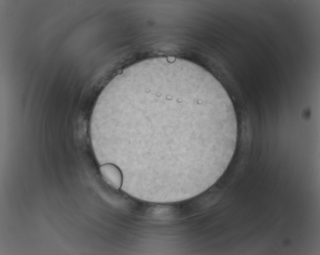 X0000115850173200912242045