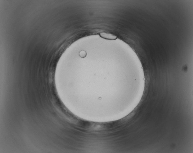 X0000115850174200912242045