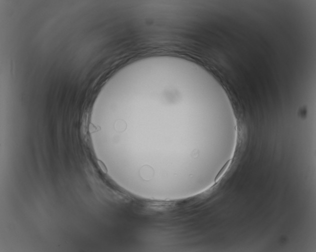 X0000115850175200912242045