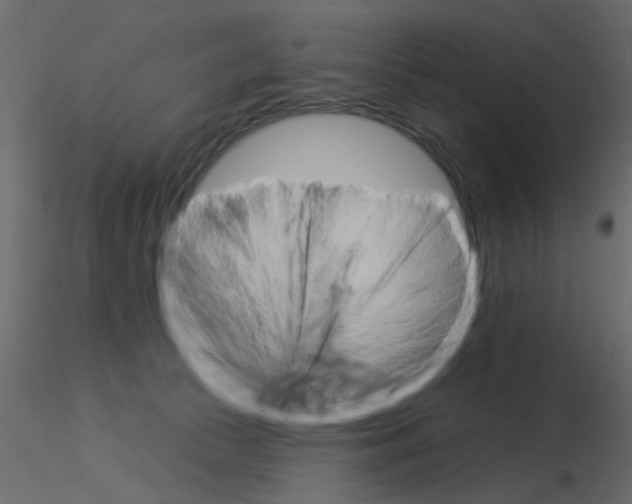X0000115850177200912242045
