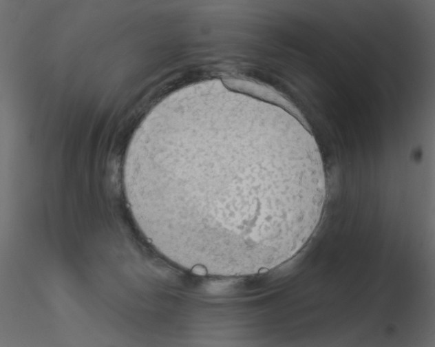 X0000115850178200912242045