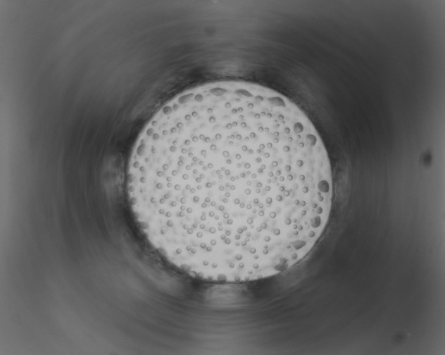 X0000115850179200912242045
