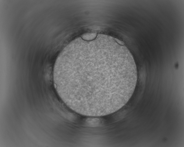 X0000115850181200912242045