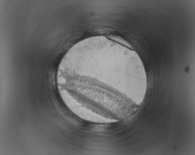 X0000115850182200912242045