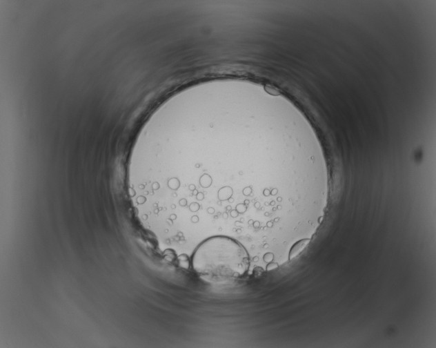 X0000115850183200912242045