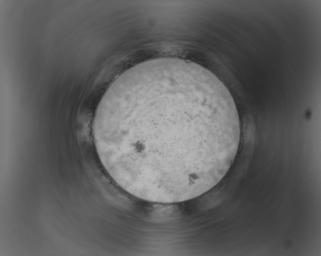 X0000115850185200912242045