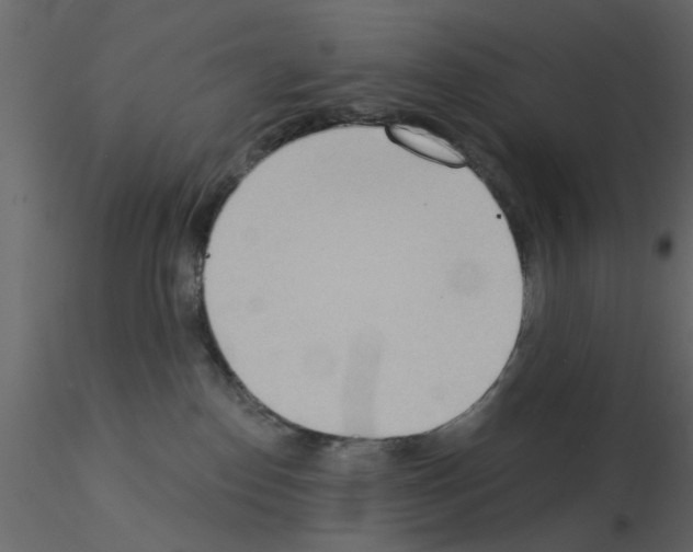 X0000115850186200912242045
