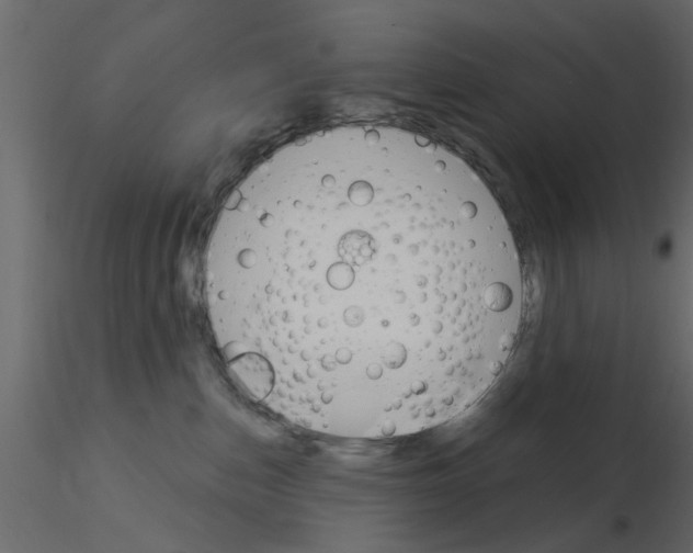 X0000115850187200912242045