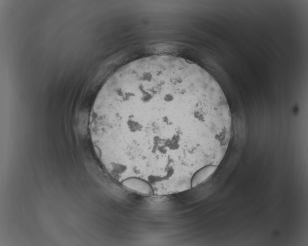 X0000115850189200912242045