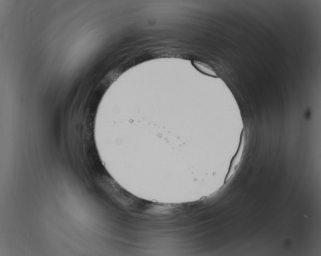 X0000115850190200912242045