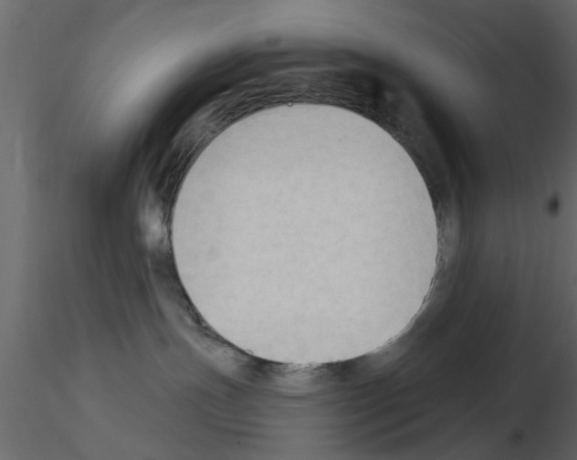 X0000115850191200912242045