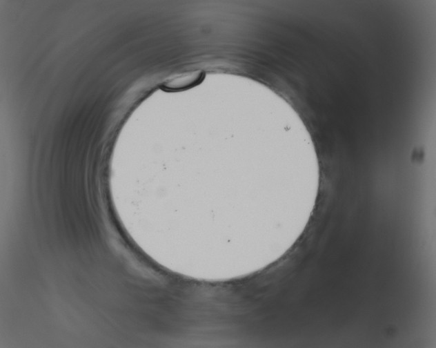 X0000115850193200912242045