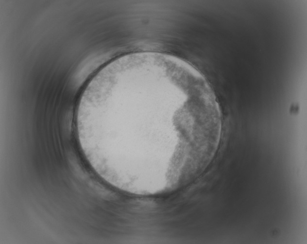 X0000115850194200912242045