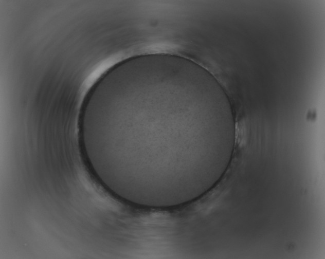 X0000115850196200912242045