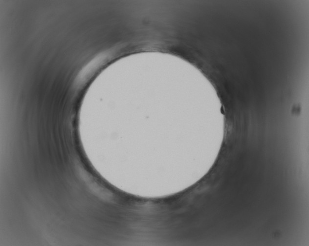 X0000115850197200912242045