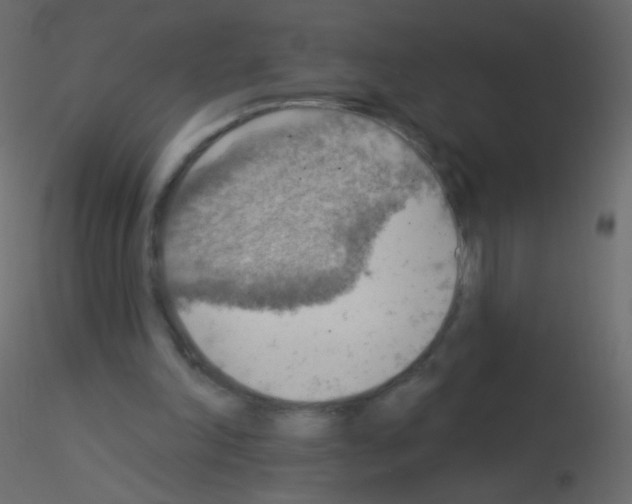 X0000115850198200912242045