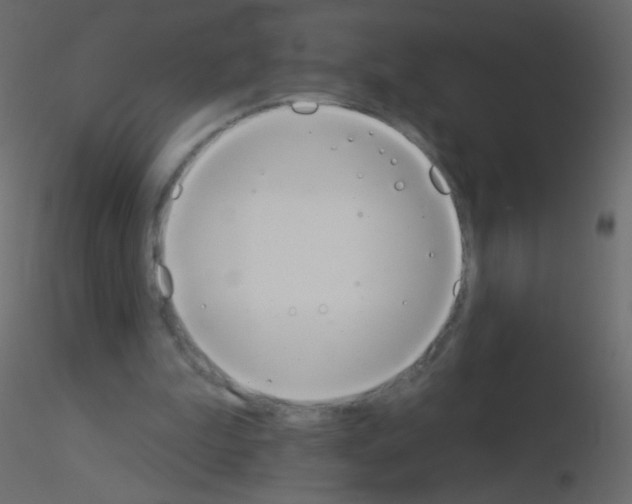 X0000115850199200912242045