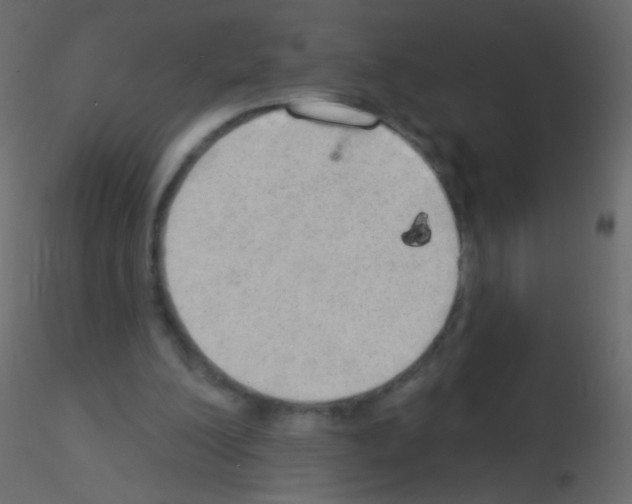 X0000115850200200912242045