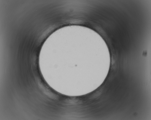 X0000115850201200912242045