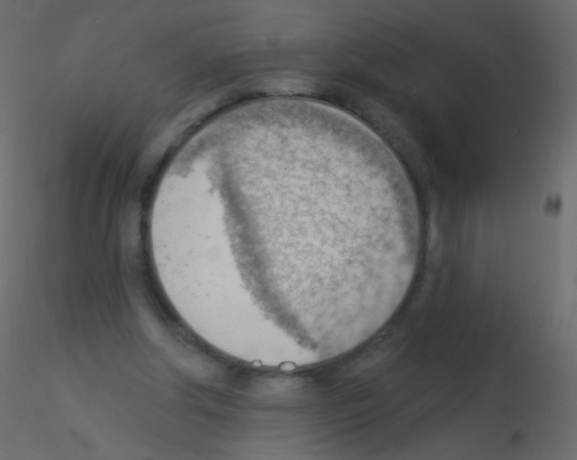 X0000115850202200912242045