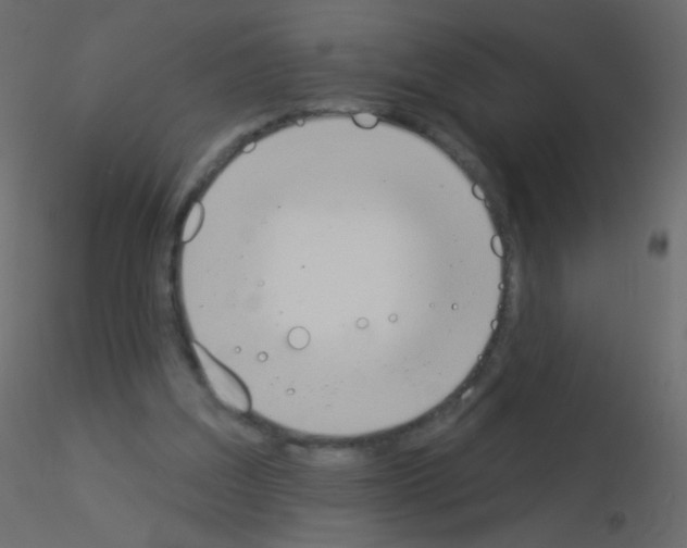 X0000115850203200912242044