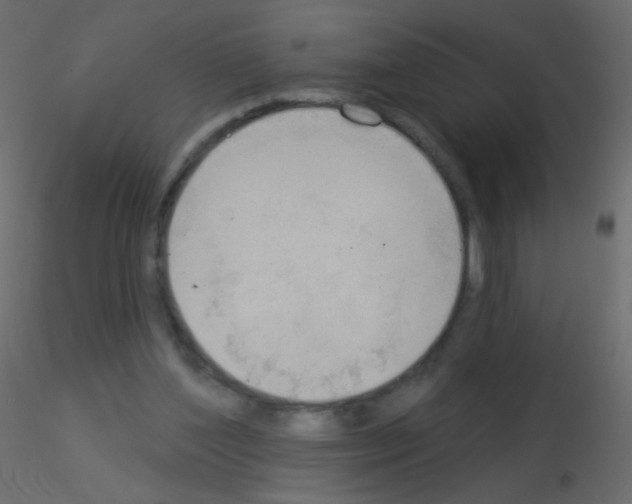 X0000115850204200912242044