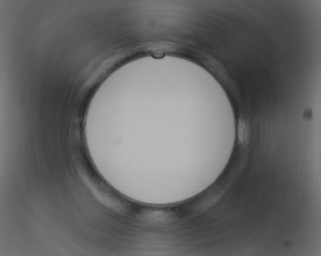 X0000115850205200912242044