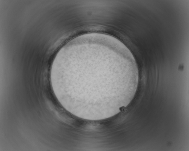 X0000115850206200912242044