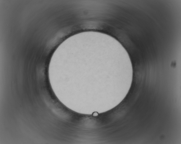 X0000115850207200912242044