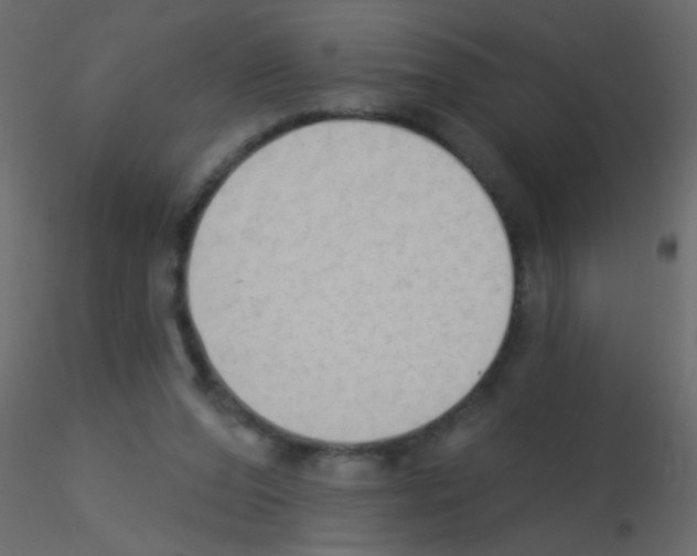 X0000115850208200912242044