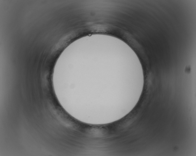 X0000115850209200912242044