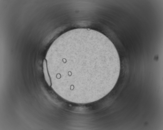 X0000115850212200912242044