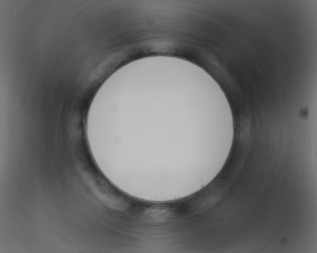 X0000115850213200912242044