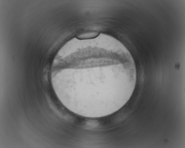 X0000115850214200912242044