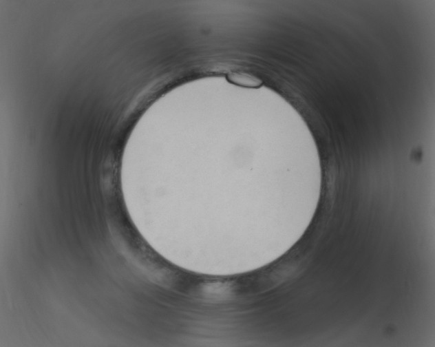 X0000115850216200912242044