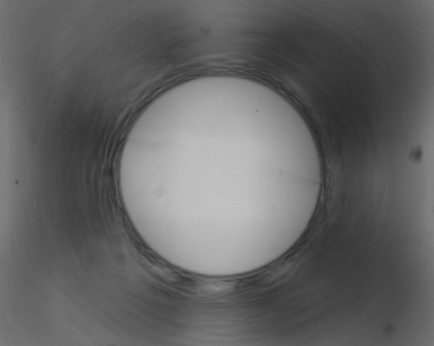 X0000115850217200912242044