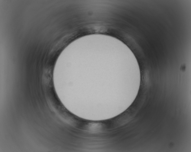 X0000115850218200912242044