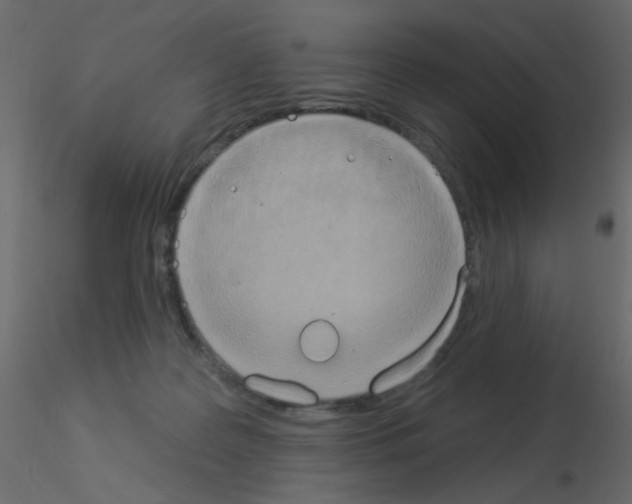 X0000115850219200912242044