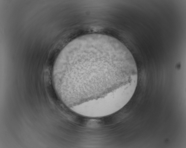 X0000115850222200912242044