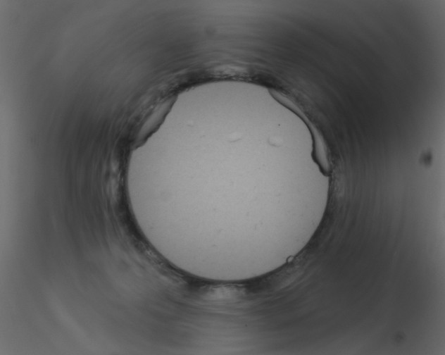 X0000115850223200912242044