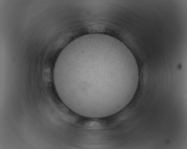 X0000115850224200912242044