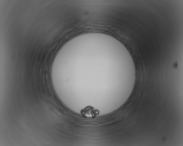 X0000115850225200912242044