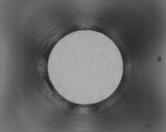 X0000115850228200912242044